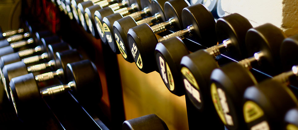 Iron Lion Gym Iron Lion Gym